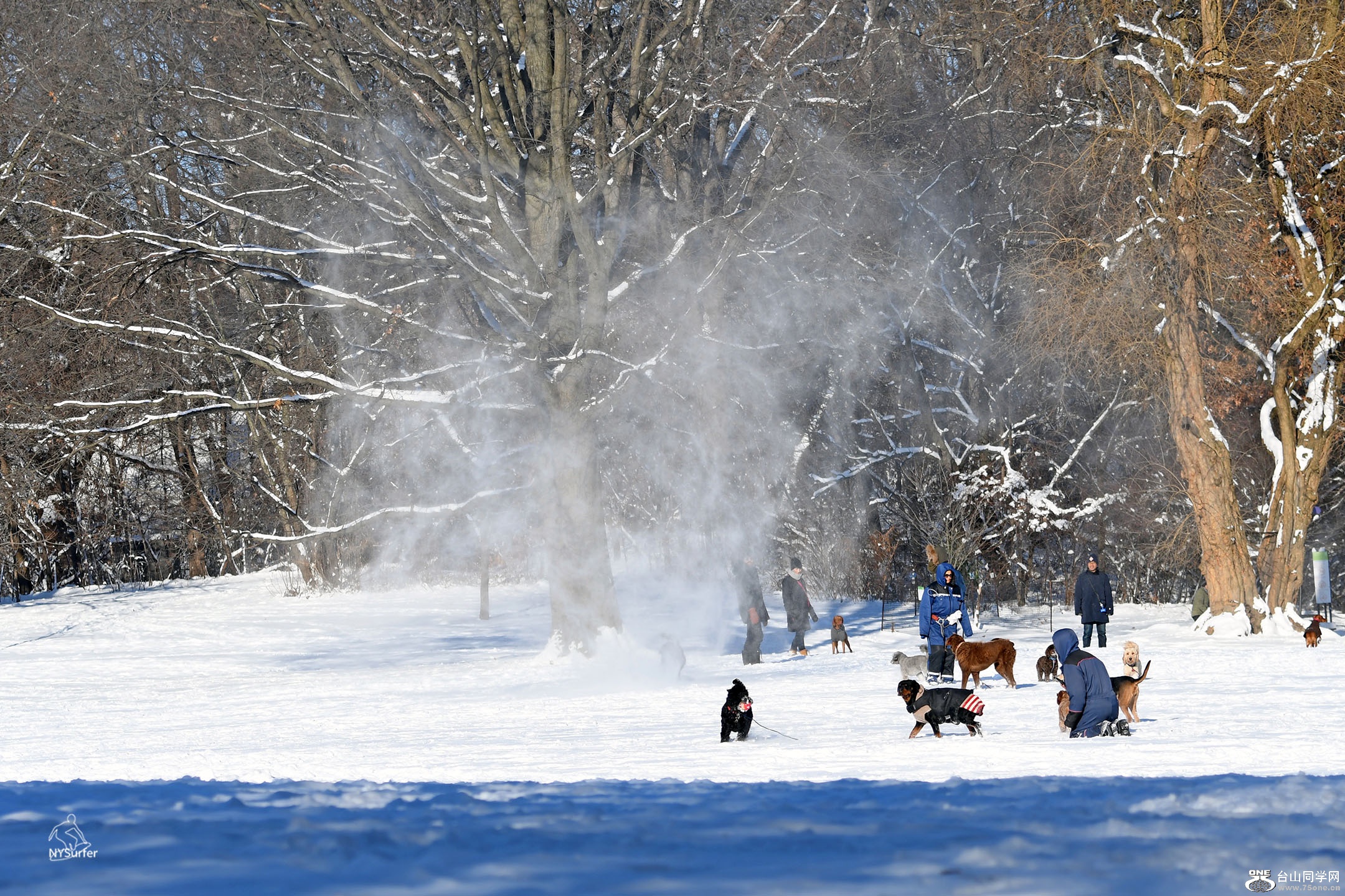 DSC_41284.jpg