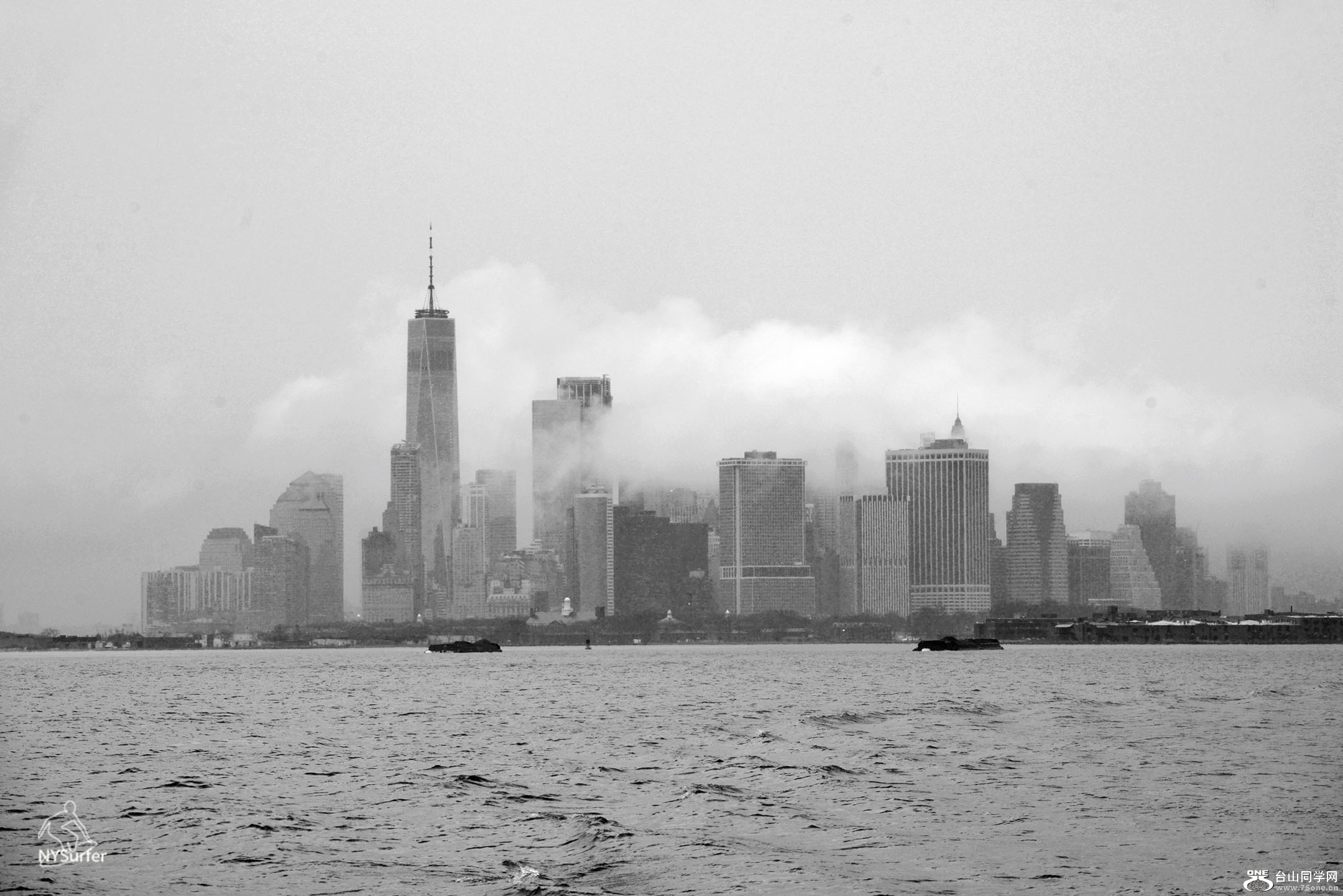 DSC_81257.jpg