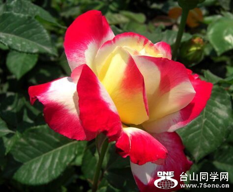 QQ图片20160703212930.jpg