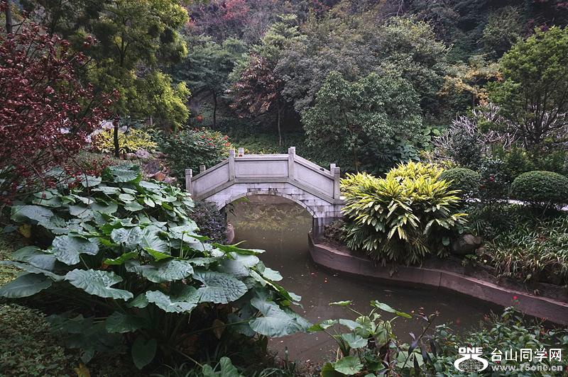 DSC01246.jpg