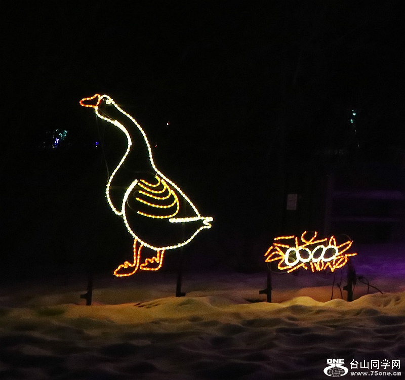 IMG_6950_1.jpg