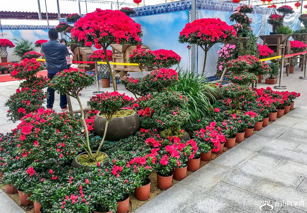 20180203_IMG_0616.JPG