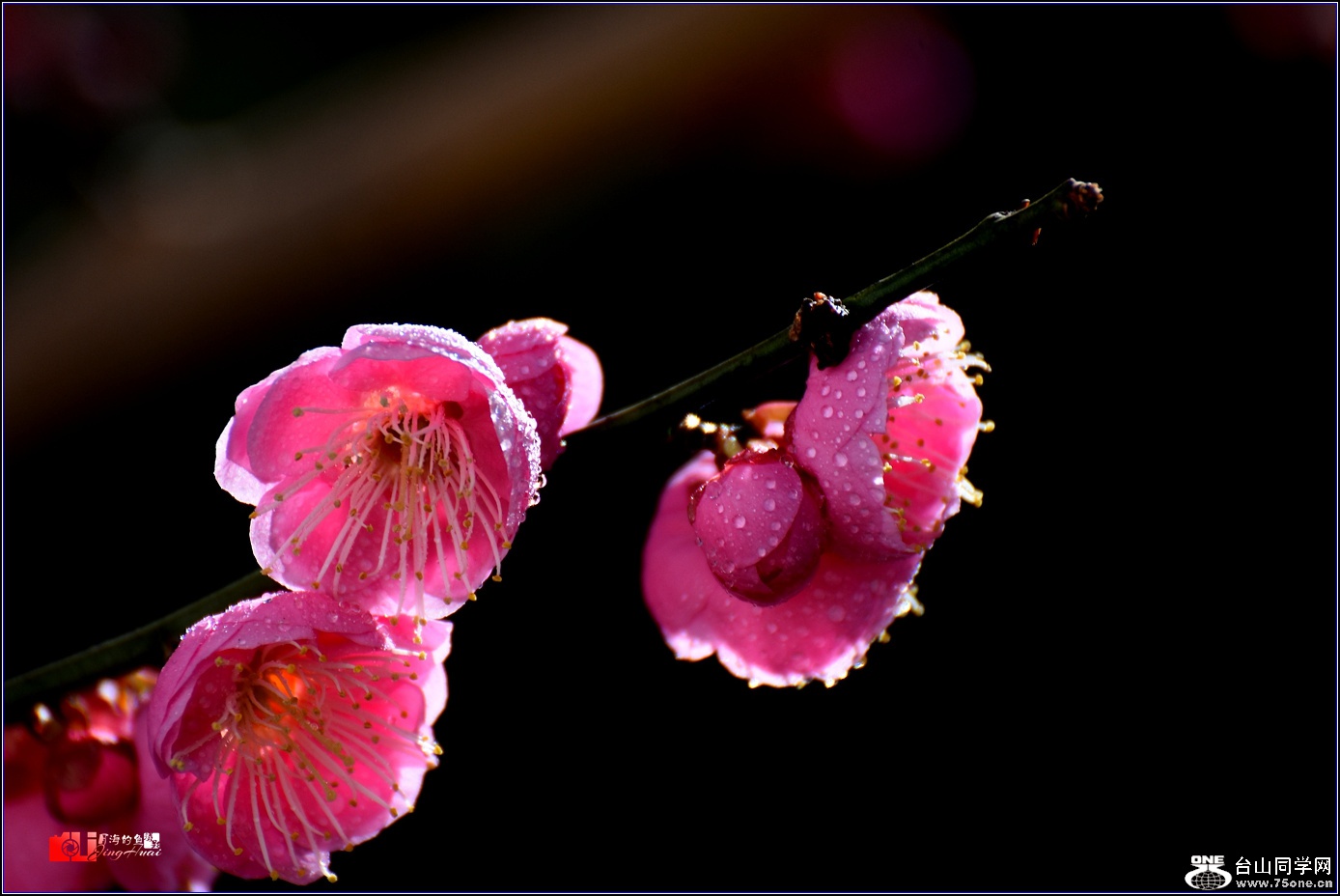 DSC_8139.jpg