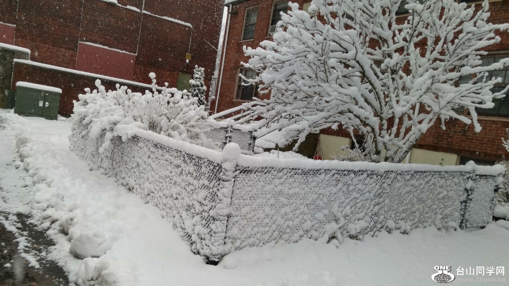 20180308_072740_HDR.jpg