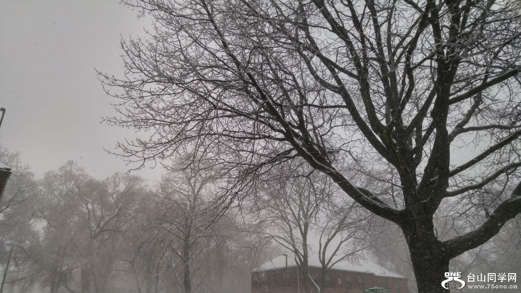 20180313_094608_HDR.jpg