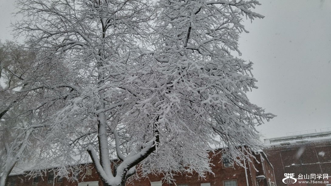 20180308_072456_HDR.jpg