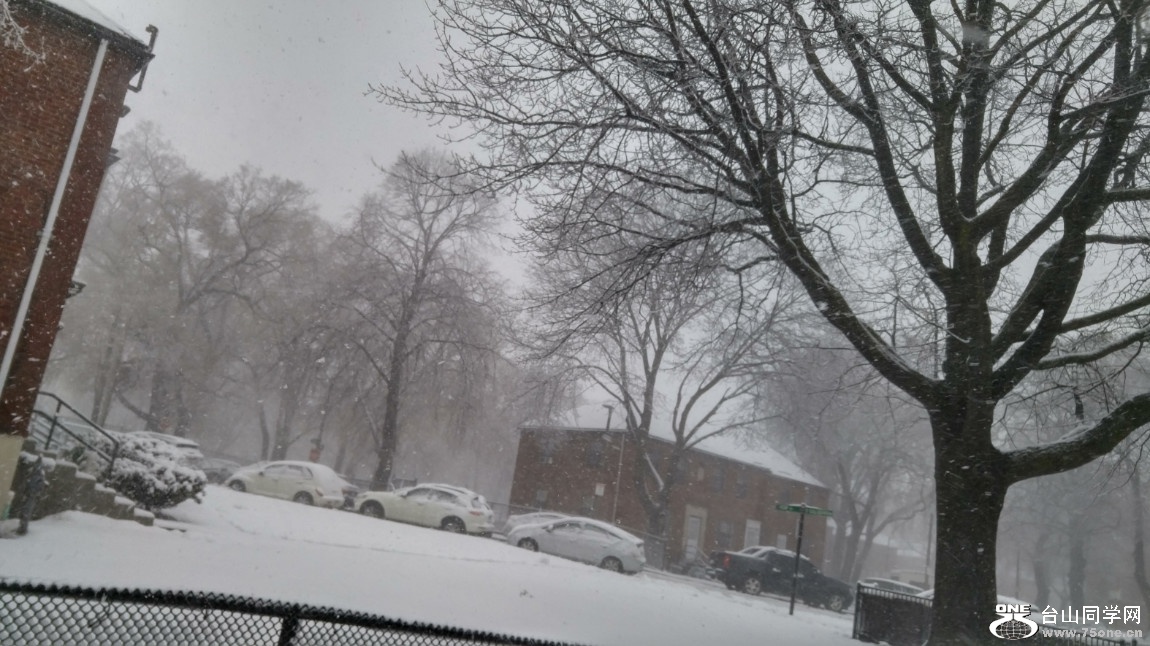 20180313_094600_HDR.jpg