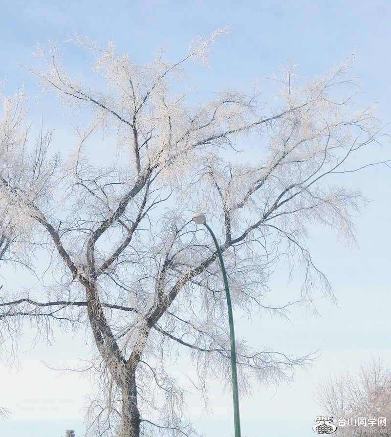 20180122_110409_.jpg