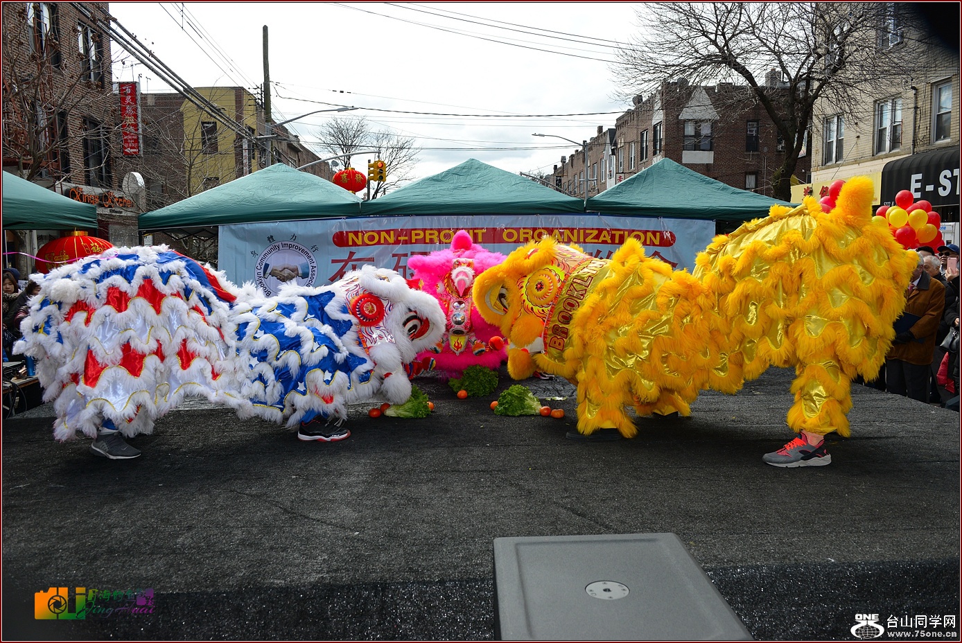 DSC_7561.jpg