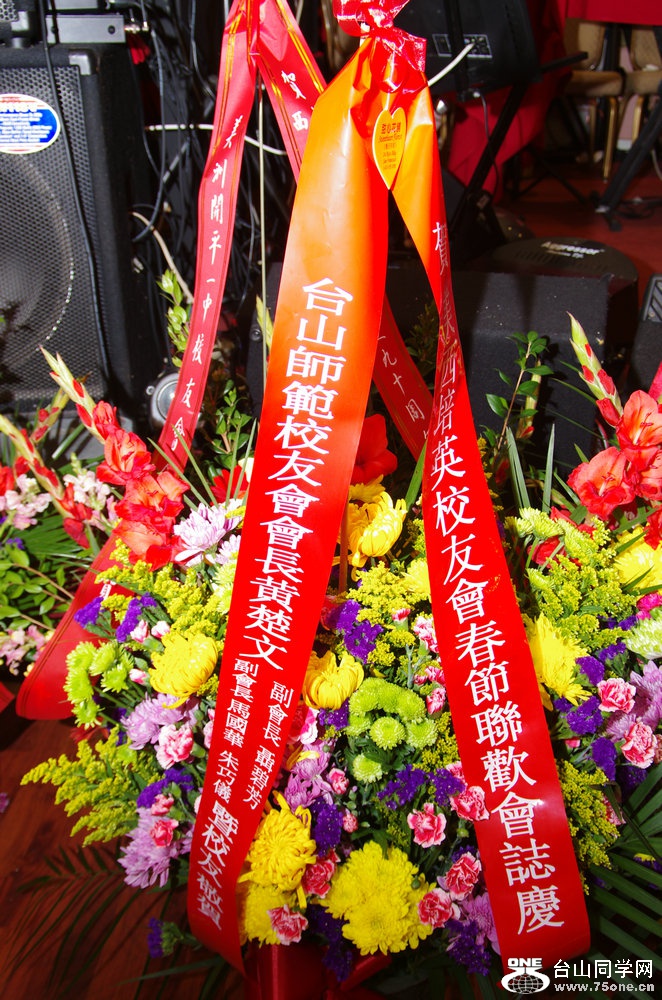IMGP2849.jpg