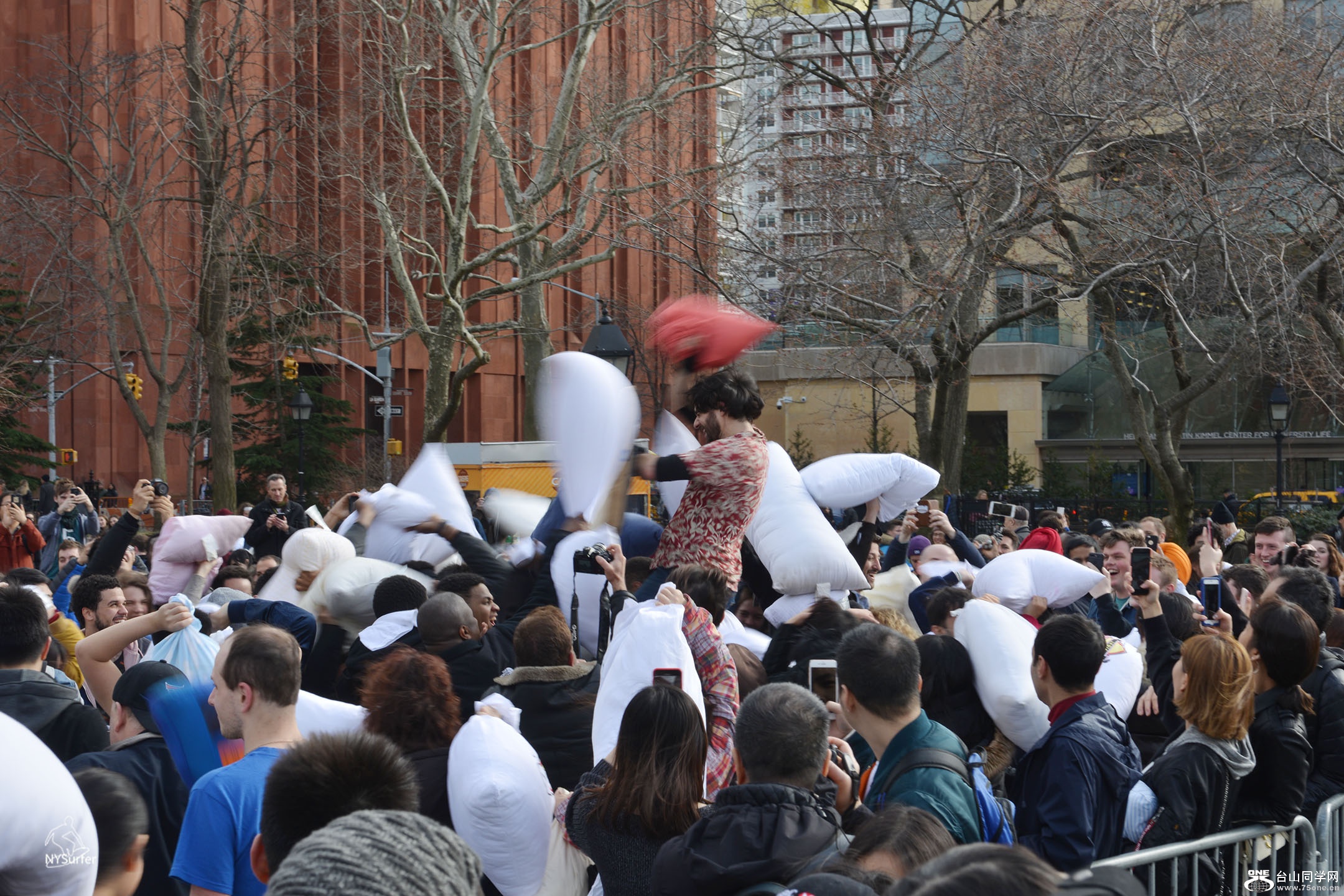 DSC_31678.jpg