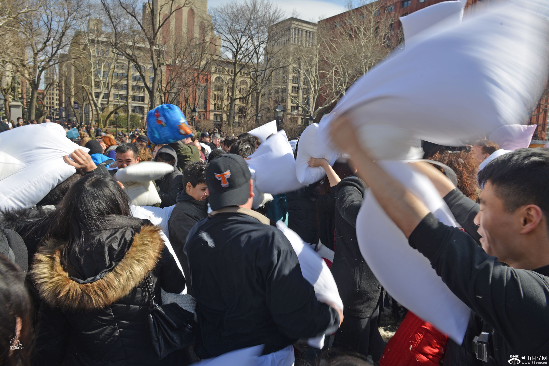 DSC_21955.jpg
