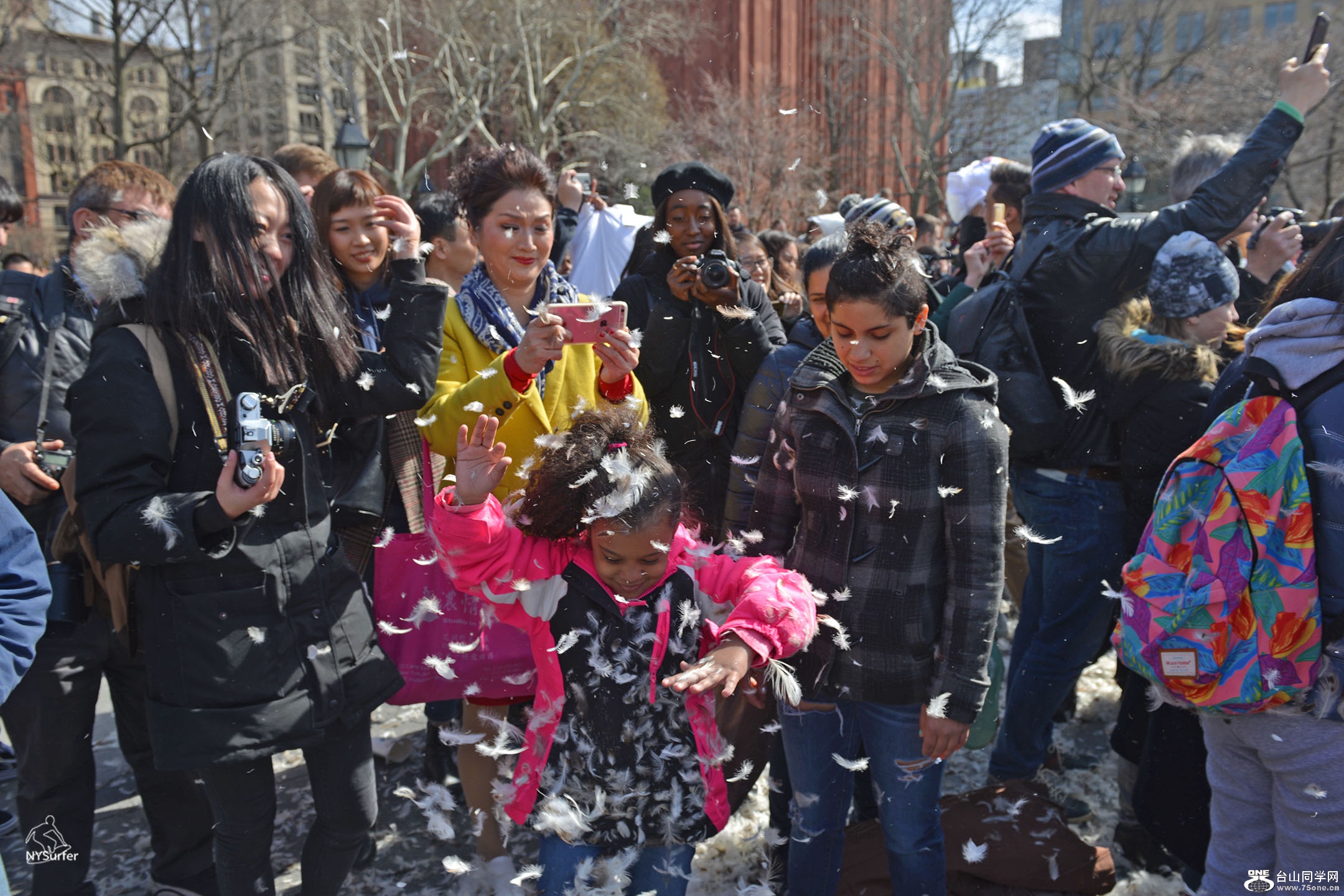 DSC_21717.jpg