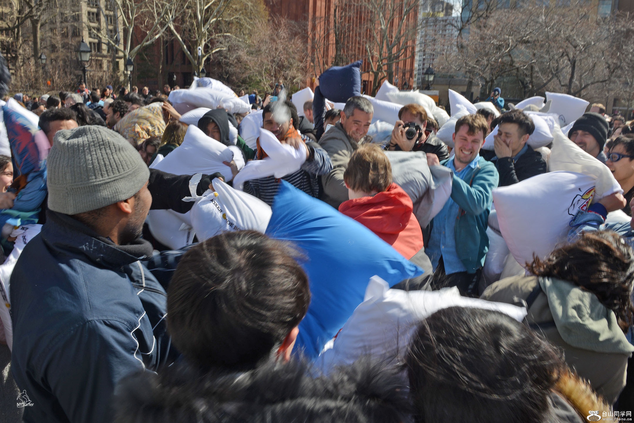 DSC_21842.jpg