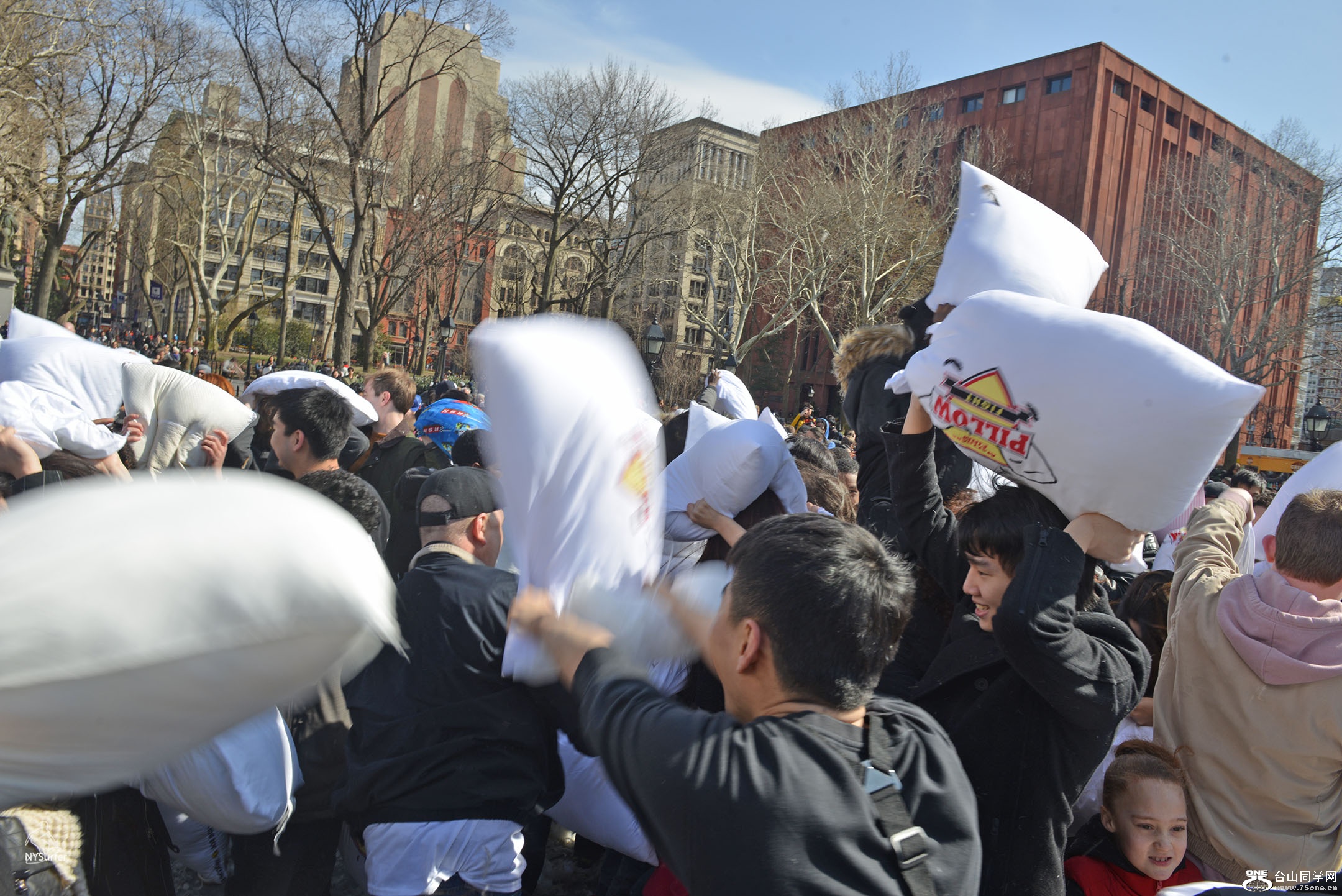 DSC_21960.jpg