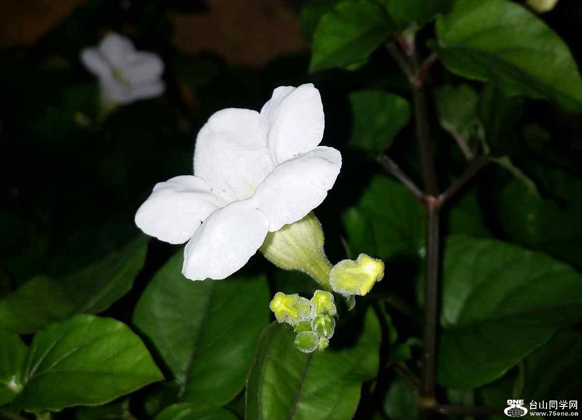 未命名_副本28.jpg