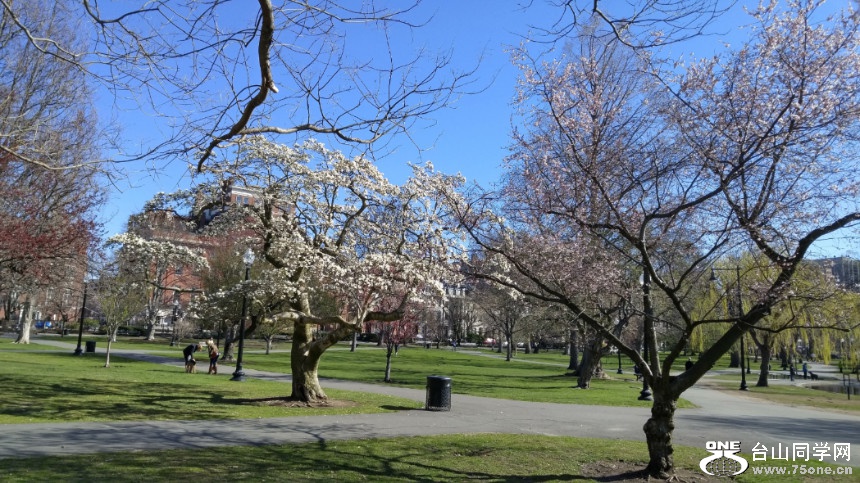 20180422_085408_HDR.jpg