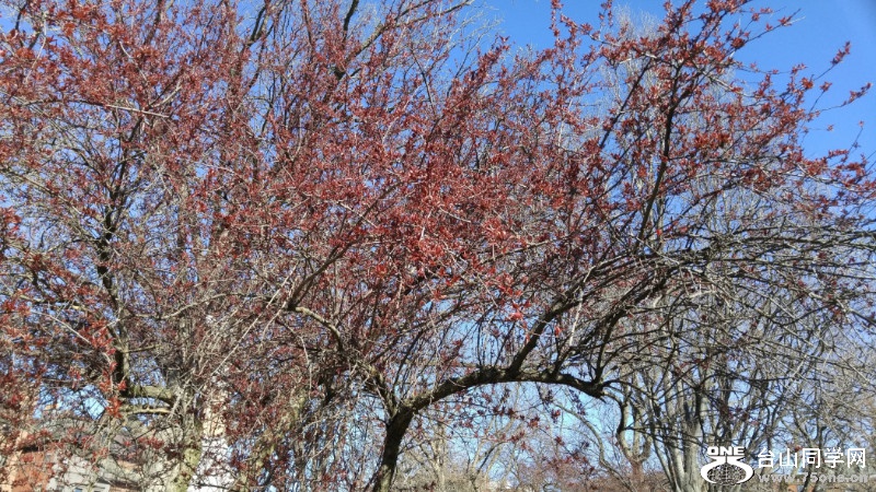 20180422_085434_HDR.jpg