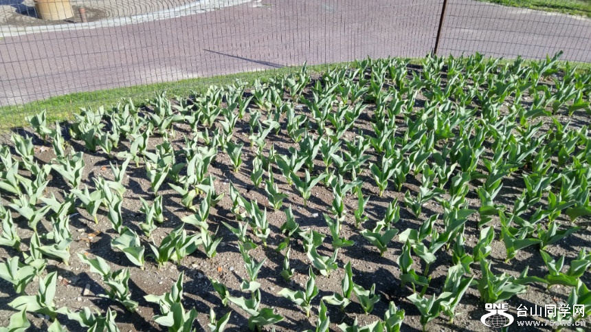 20180422_085114_HDR.jpg