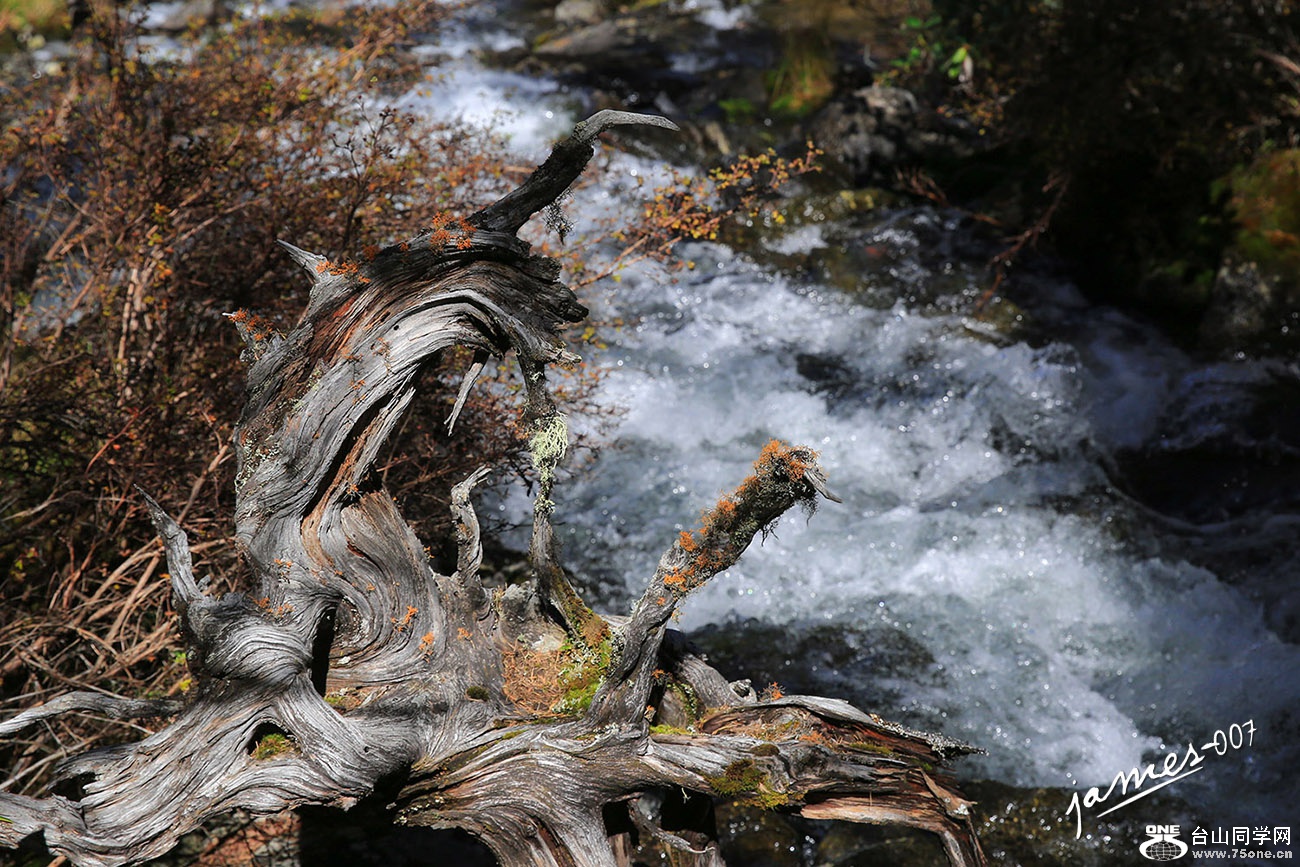 fftt-1 ����.jpg