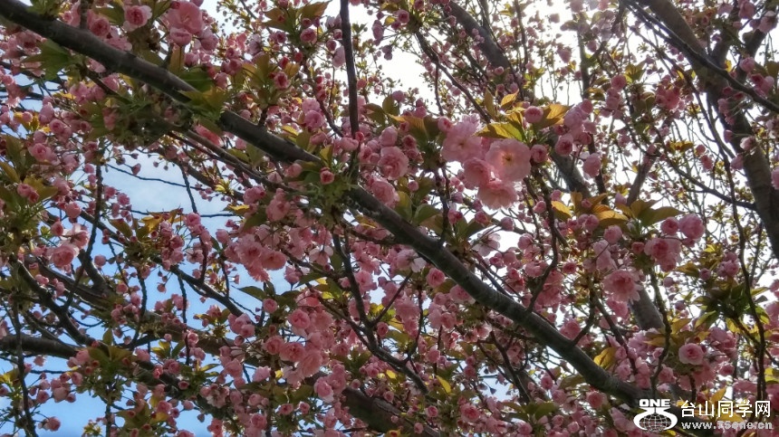 20180505_153115_HDR.jpg