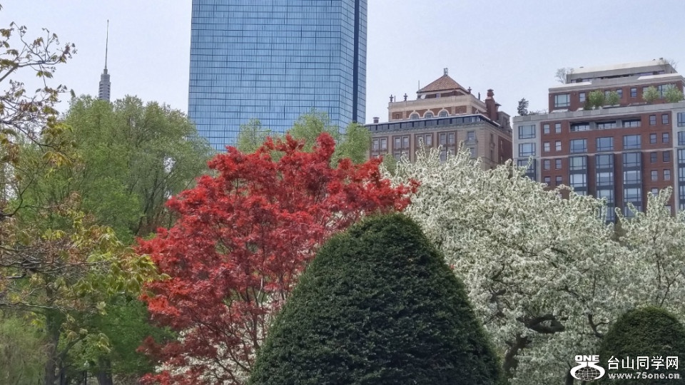 20180507_122346_HDR.jpg