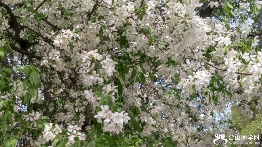 20180507_122212_HDR.jpg