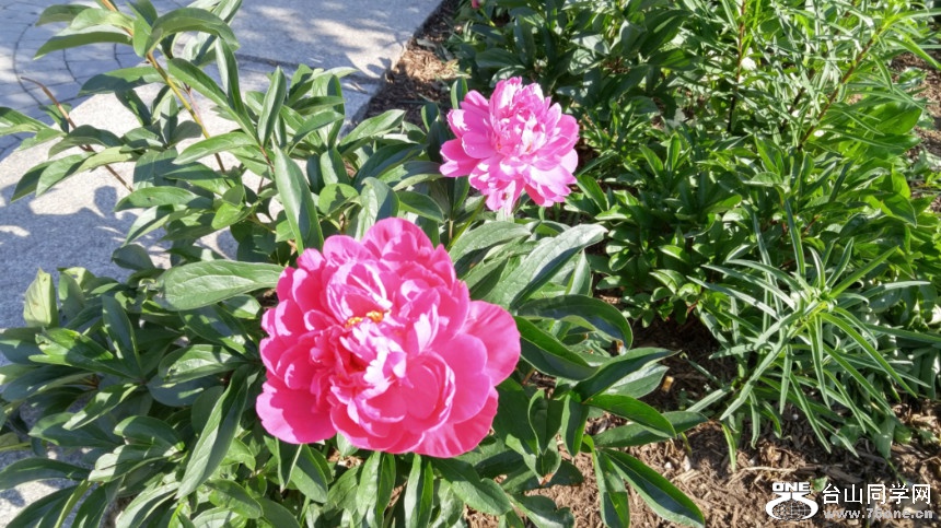 20180529_082301_HDR.jpg