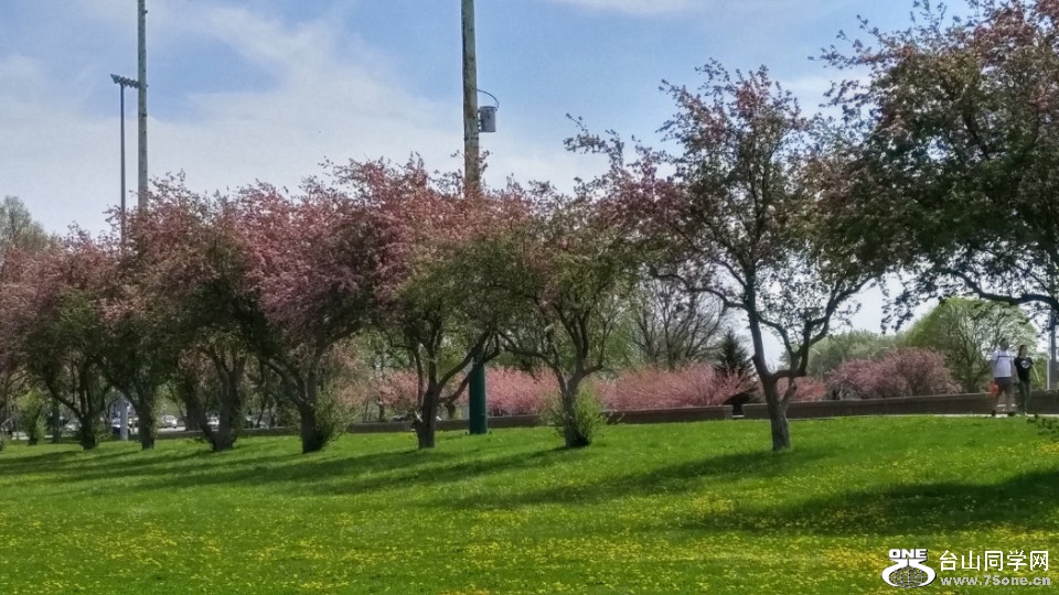 20180505_153129_HDR.jpg