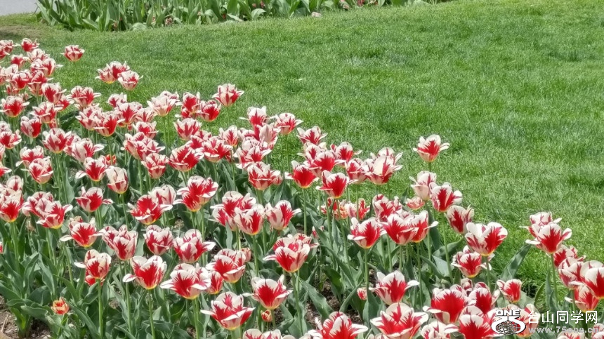 20180507_122736_HDR.jpg