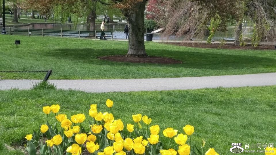 20180507_122323_HDR.jpg