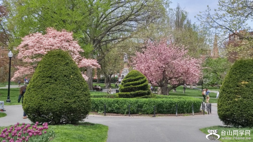 20180507_123424_HDR.jpg