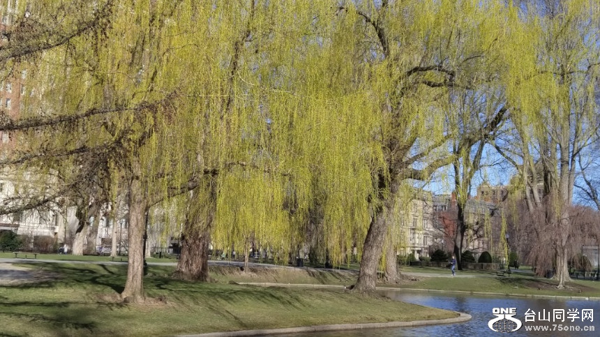 20180422_084527_HDR.jpg