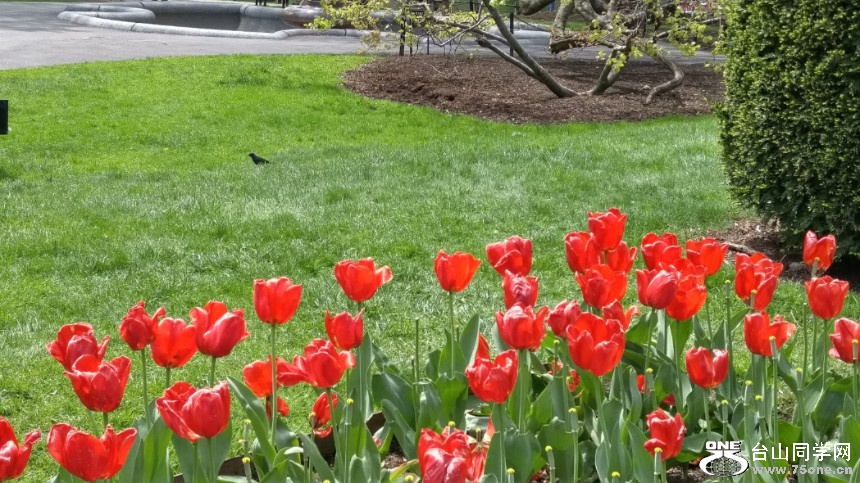 20180507_122248_HDR.jpg