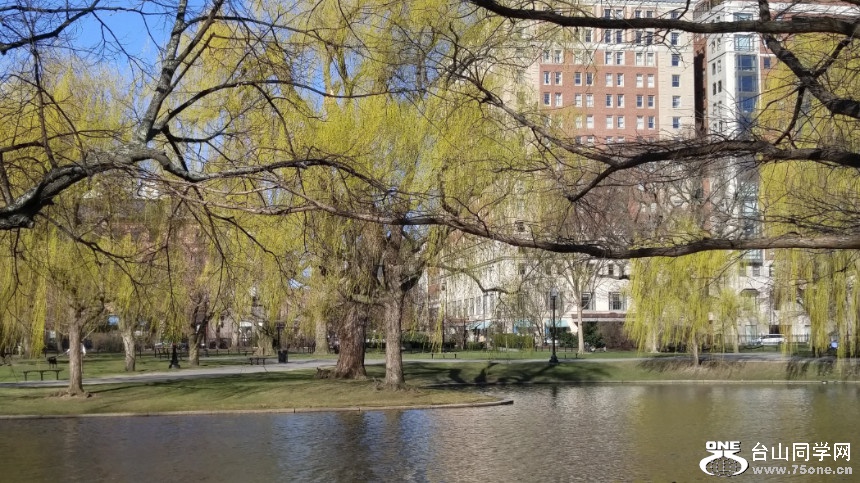 20180422_084455_HDR.jpg