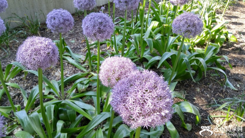 20180529_082753_HDR.jpg