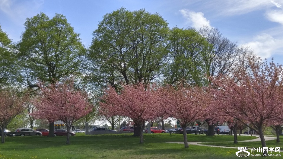 20180505_153608_HDR.jpg