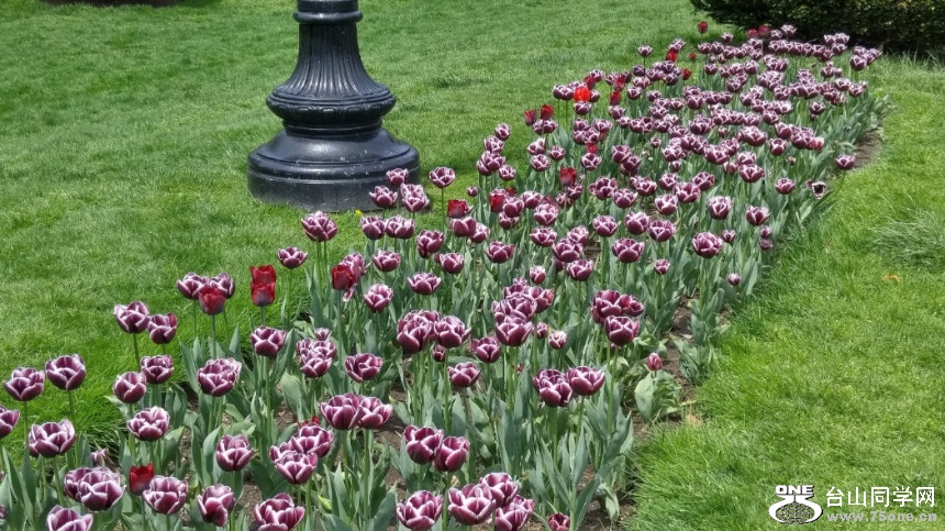 20180507_123408_HDR.jpg