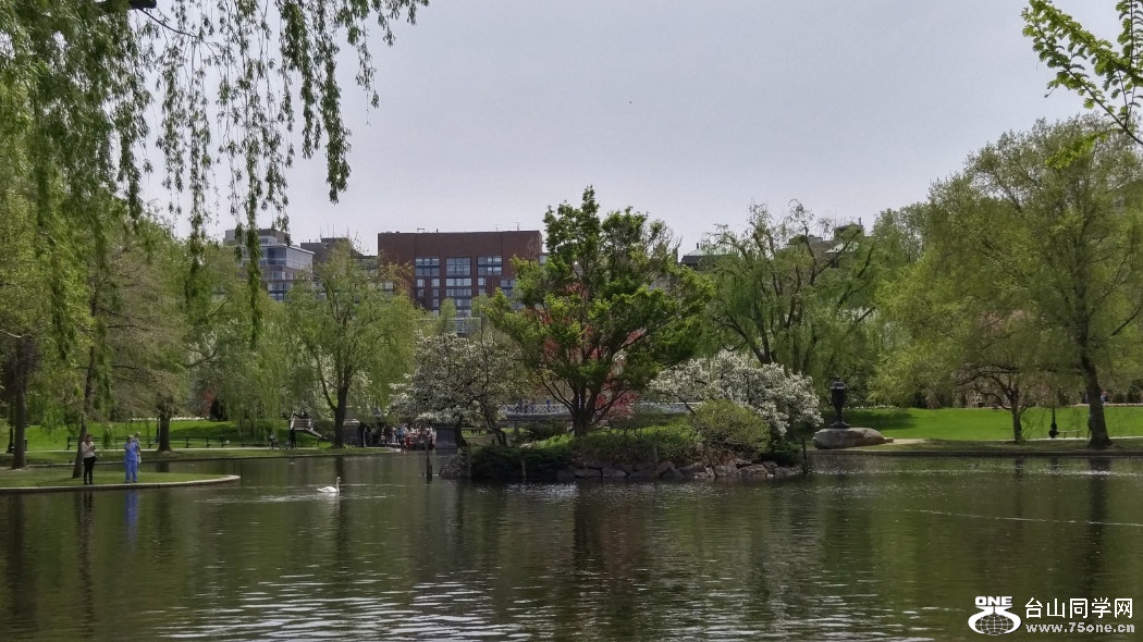 20180507_123814_HDR.jpg