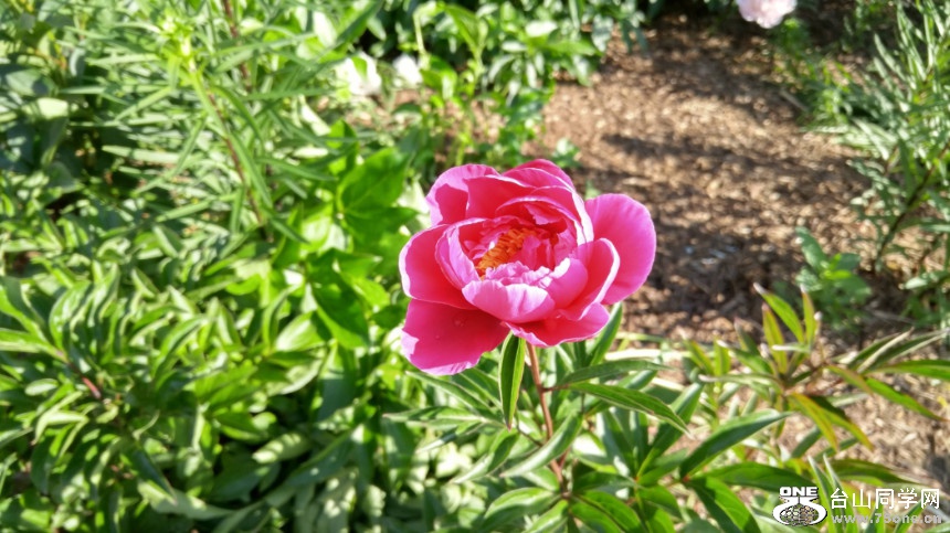 20180529_082253_HDR.jpg
