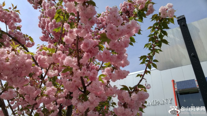 20180507_111516_HDR.jpg