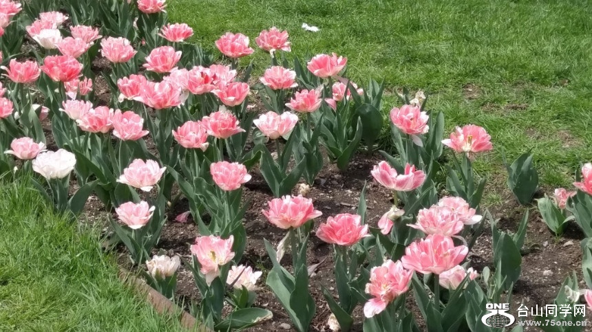 20180507_122710_HDR.jpg