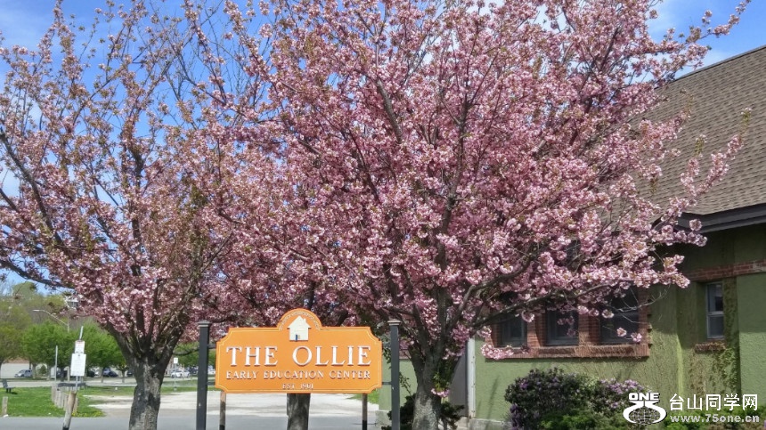 20180505_151857_HDR.jpg