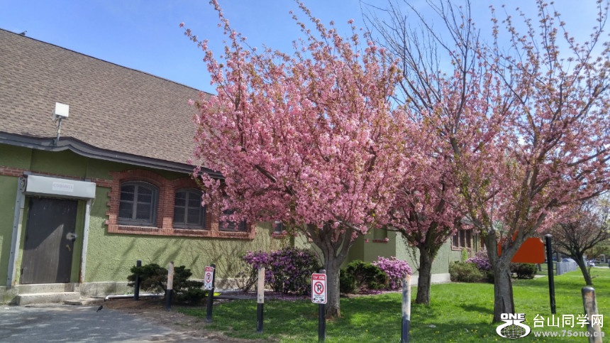 20180505_151937_HDR.jpg