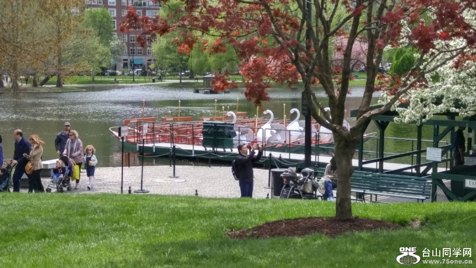 20180507_122447_HDR.jpg