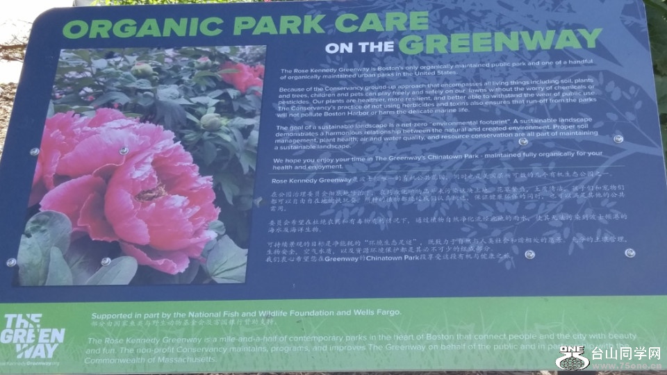 20180529_082403_HDR.jpg