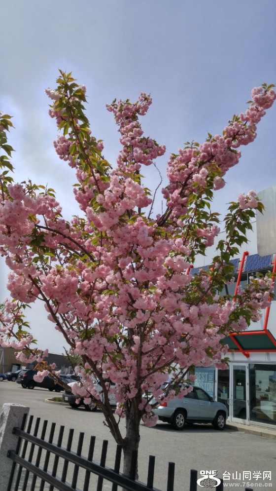 20180507_111523_HDR.jpg