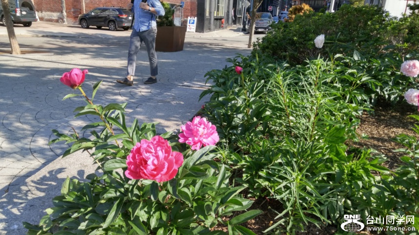 20180529_082247_HDR.jpg