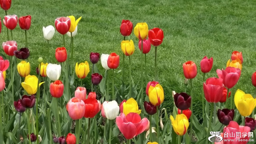 20180507_123123_HDR.jpg