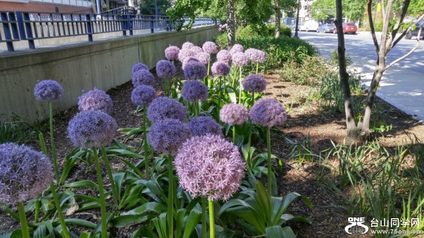 20180529_082803_HDR.jpg